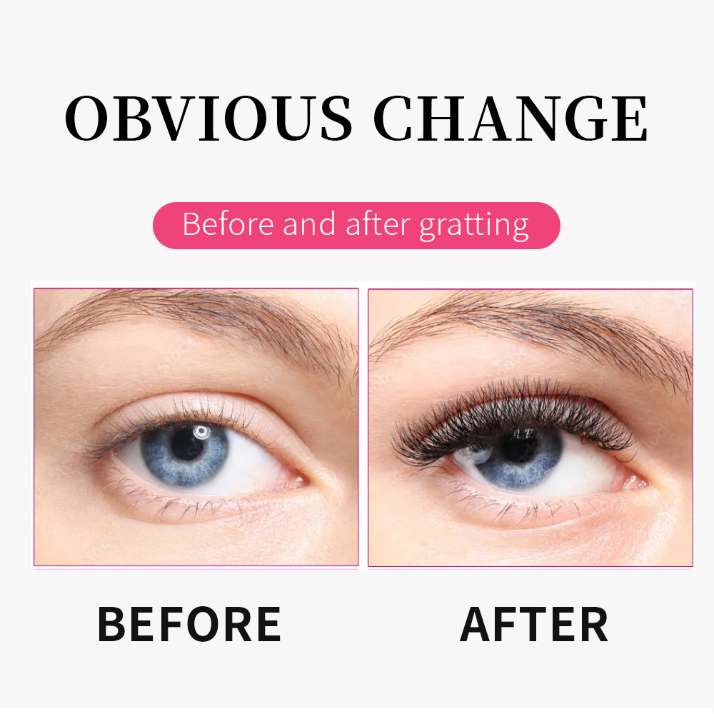 Goddess 5D W Shape Lashes Big  - Eyelash Extension Mega Volume ulasan dan harga