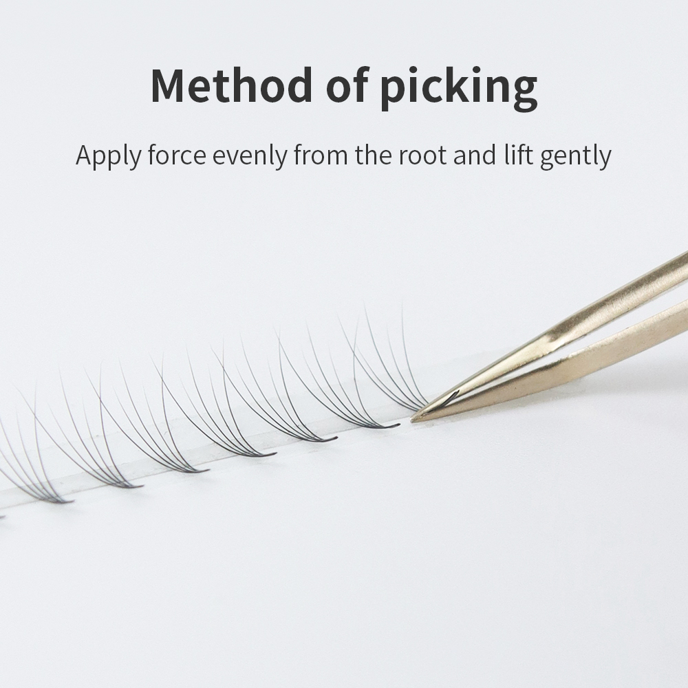 GLAMLASH Premade Volume Fan Ey - Eyelash Extension Mega Volume ulasan dan harga